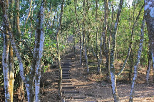 高雄甲仙六義山步道(百葉線)152345