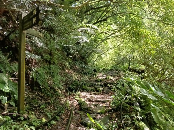雙溪區淡蘭山徑-燦光寮古道+貂山古道O型2774864