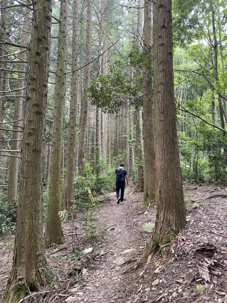 谷關七雄-屋我尾山1028735