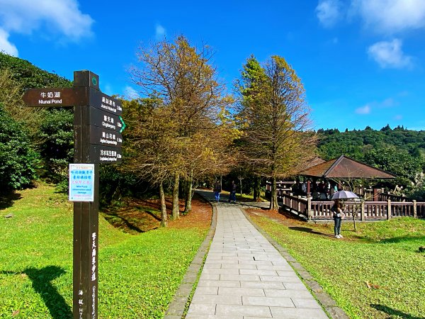 夢幻湖｜都會寧靜公園內第一條寂靜山徑1196595