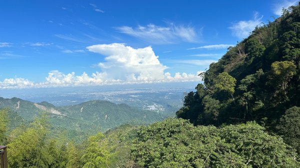 隙頂二延平步道2798964
