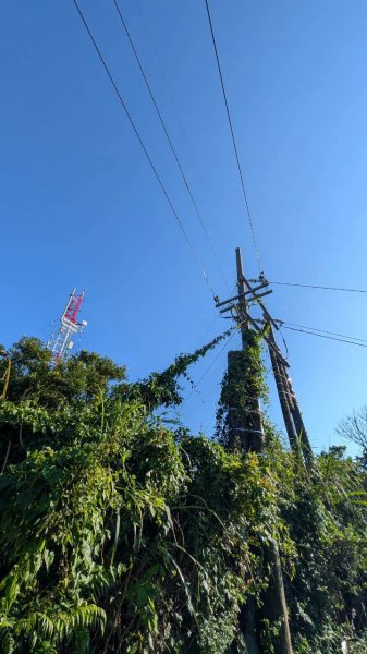 南港山步道3122068