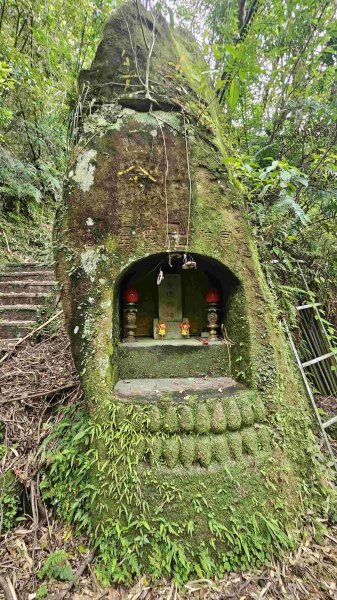 20250502大崙古道-崩山大崙-大崙西北峰-天王峰2776307