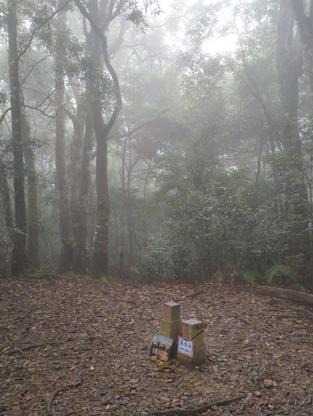 2025.07.05－高島縱走2828180