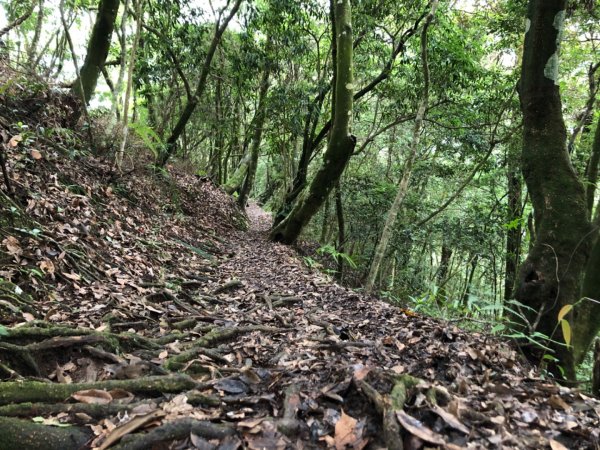 嘉義水社寮走石盤巃山圓潭巃山四天皇山1022471