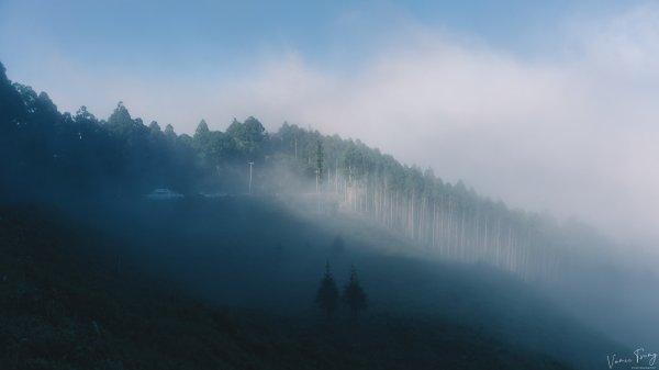 【油羅山】新竹五峰的迷霧花園封面