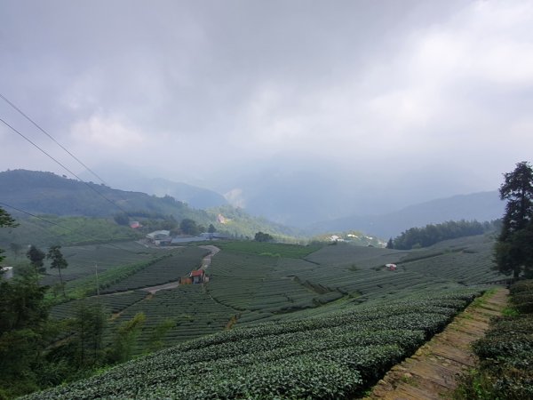 【雲嘉】後棟山連走大二尖山1478472