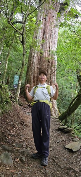 拉拉山巨木步道-塔曼山步道_202407022569675