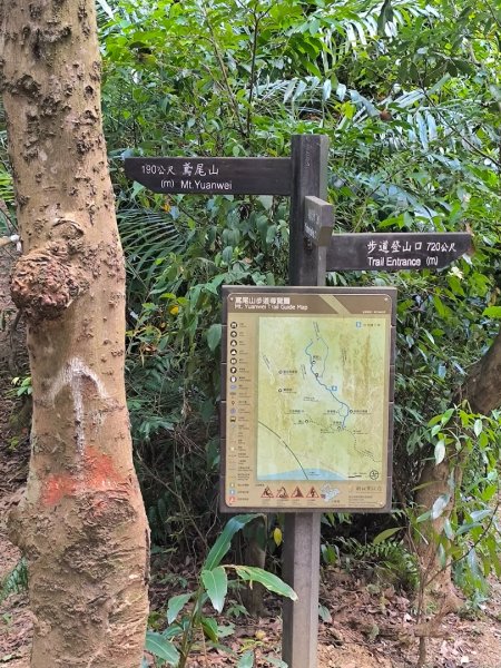 20250824鳶山彩壁2868544