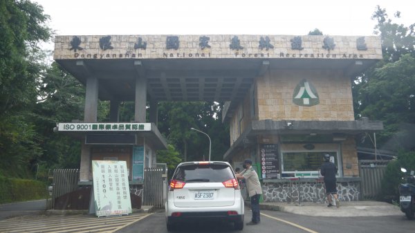 東眼山登山健行趣(小百岳22號)1544303