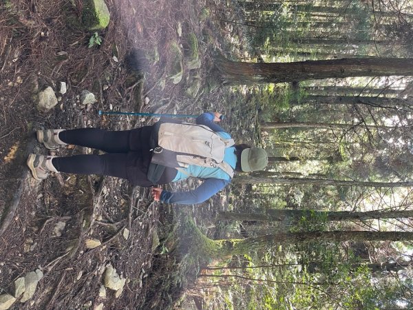 20241010_觀霧森林遊樂園區2855689