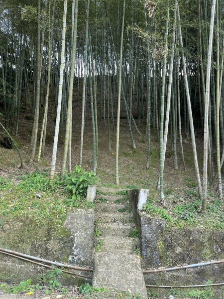 鹿谷長源圳生態步道2726262