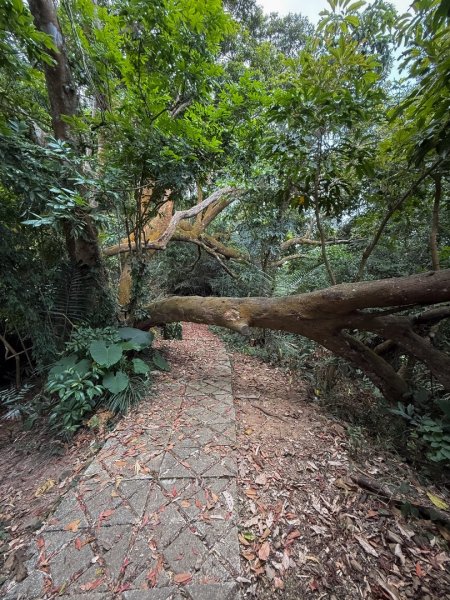 風空子山- 一睹南化水庫風景2771389