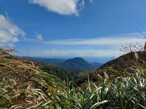 中正山連走竹子湖1557236