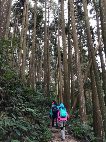 加里山鹿野線461337
