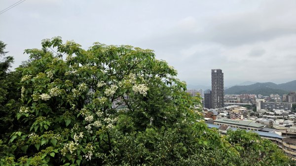 彌勒內院3038353
