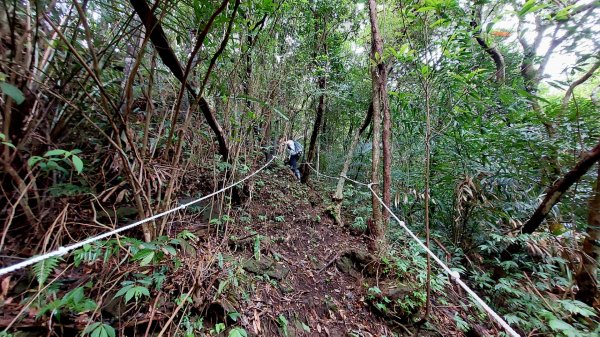 平溪大湖格隧道，石底觀音山、刀石崙、一坑古道O型1970858