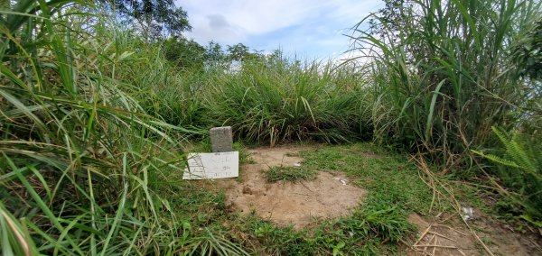 2023-06-23萬人山、六十石山步道群、羅山村竹林步道2193606