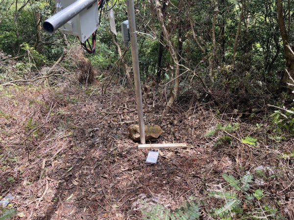 2025_0601 北插天山2802332