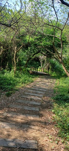 青青草原.竹香山2534203