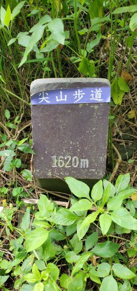 2024-06-15觀音山【福隆山、尖山(占山)登山步道】O走2528210