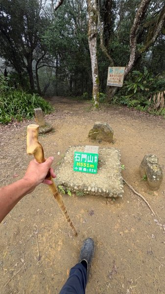 迷霧2986985