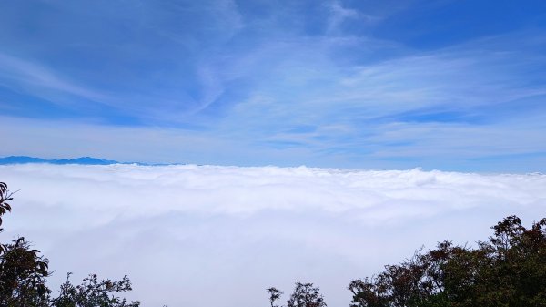 鳶嘴山美呆了~滿滿的雲海~1884277