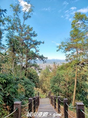 【南投埔里】天旨宮鰲頭山步道x虎頭山鯉魚潭步道x虎頭山觀景平台連走2988485