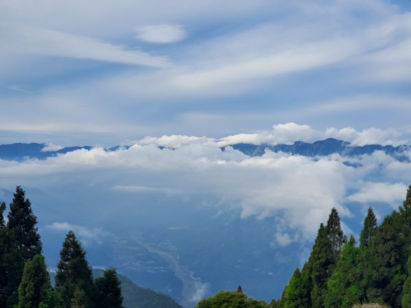 郡大碰碰車952489