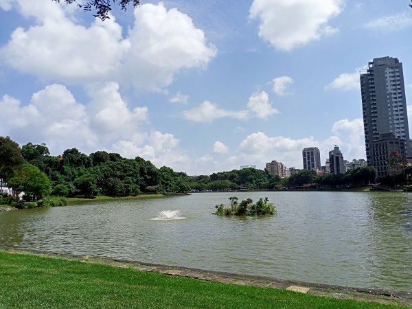 碧湖公園環湖+登山步道【走路趣尋寶、健康大穀東】2301544