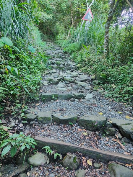 關仔嶺大凍山(夏季不要早上6點來、您會愛上這座山)2552199