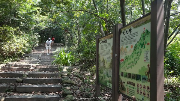 《南投》峰峰相連｜草屯九九峰森林步道O型202509062879237