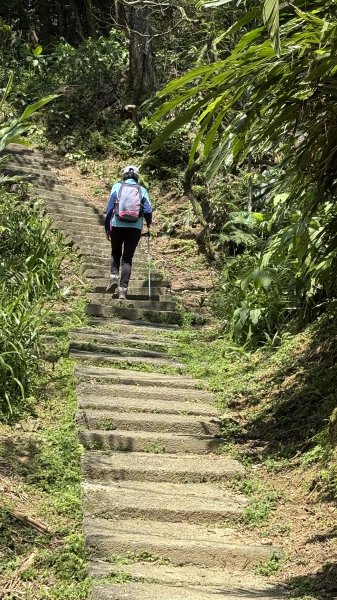 土城太極嶺|五城山|文筆山|峯花雪月2742835
