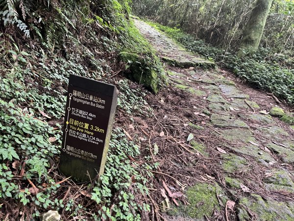 2023_0513_環七星山人車分道(走遍陽明山任務)2150914