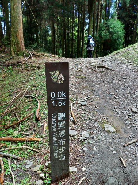 觀霧瀑布步道1662948