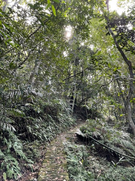 帕米爾公園1887073