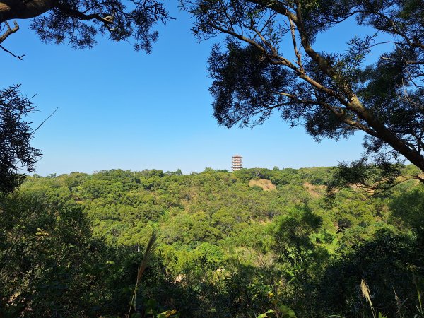 大肚環保公園步道+大尖山+萬里長城步道萬里長城步道202512072956505