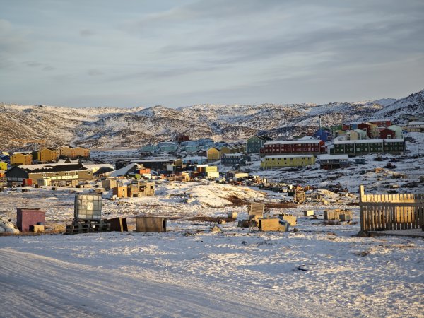 [紐約馬之行-32] 2025_1106 格陵蘭犬2947912