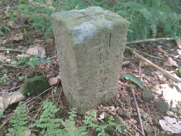 20230812台中東勢石角山、麻竹坑山、和平大南坑山主峰、大南坑山、大南坑山東峰2246199