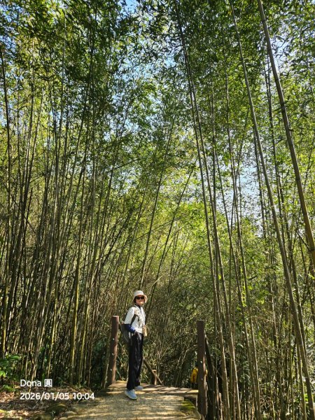 20260105高遶溪古圳步道P走+羅浮泡腳2977826