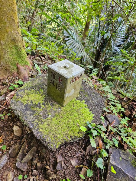 小百岳集起來-三角崙山2185378