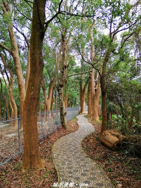 適合賞景健身親子型步道~鳳凰山觀音山步道1244183