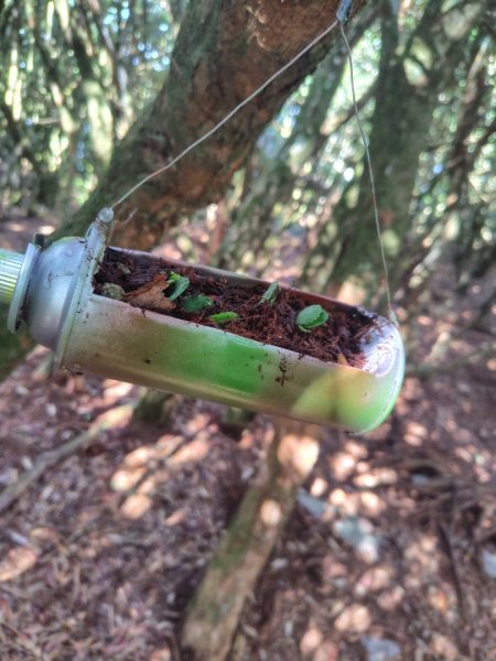 長壽山、肥崠山、醜崠山、大崠山、大崠山經建版2931575