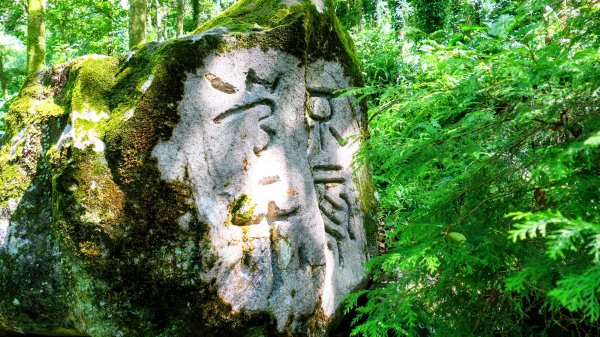 陽明山16草原之西線8草原2904054