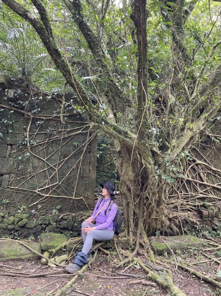 雪山尾稜北段2728643