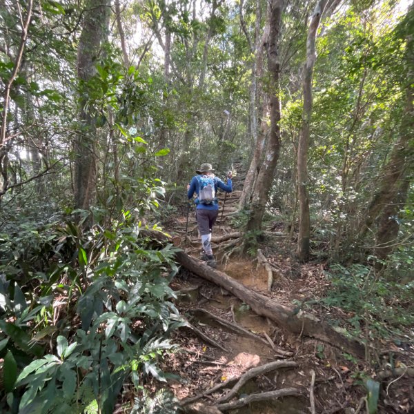 20251212_里龍山（屏東小百岳）2968680