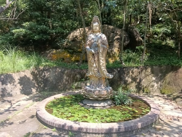 內湖區大丘田保甲路+開眼山+白石湖山+白石湖山東峰+大邱田山+消防山O型2858887