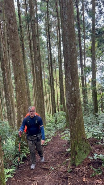 民都有山1140601 大園登山協會2801614