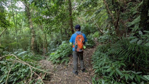 114.06.14雙石縱走&石門水庫-石牛山之旅2812247