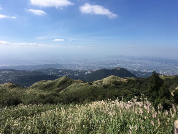 七星山主峰小白岳這個時節欣賞芒花季445486